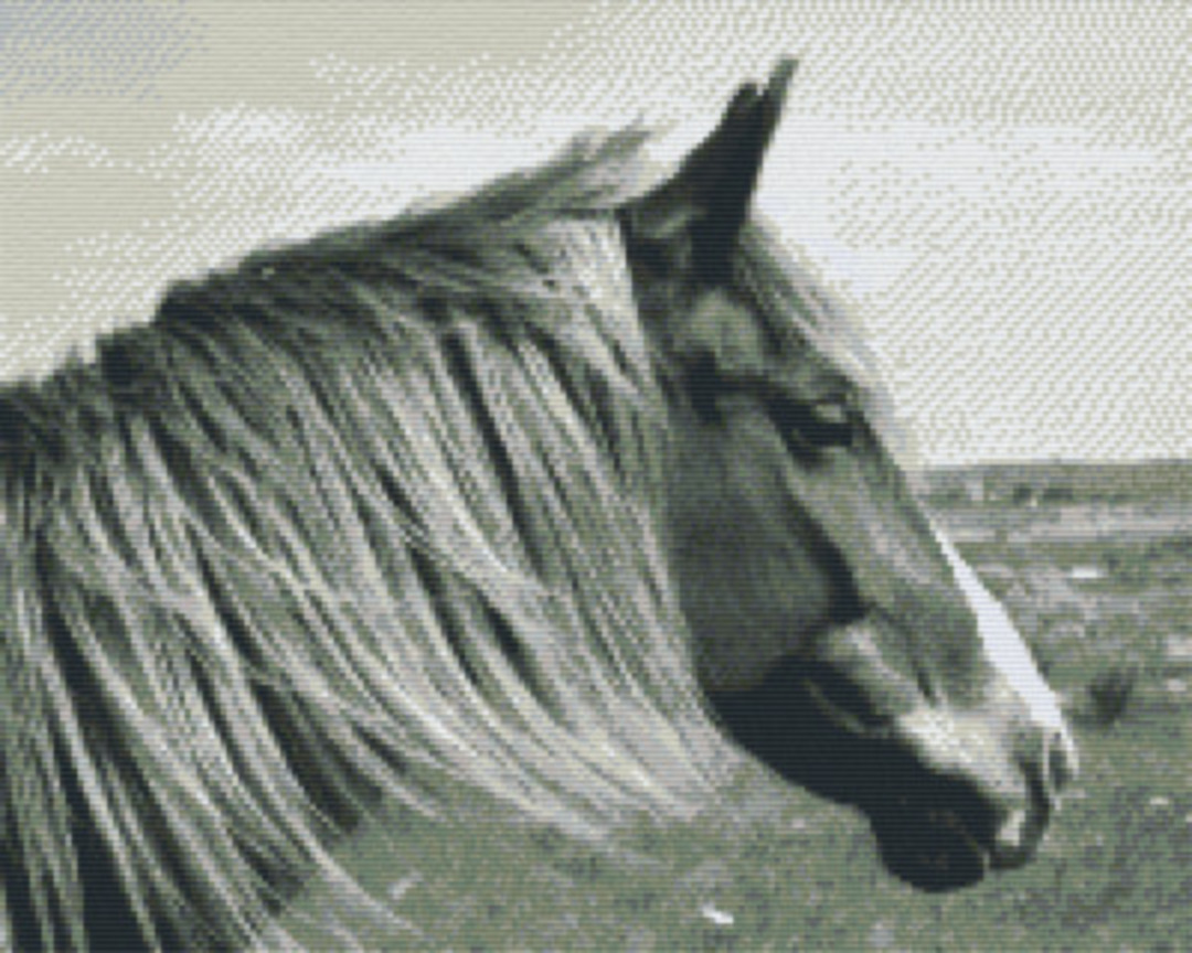 Black And White Horse Sixteen [16] Baseplate PixelHobby MIni-mosaic Art Kit image 0